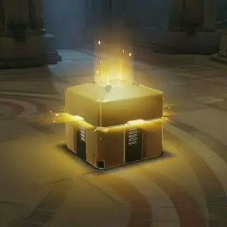 Consumer' S Loot©