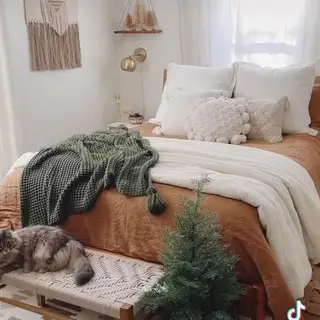 Decoration Ideas