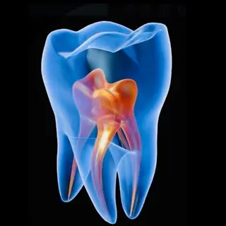 Dentists Group