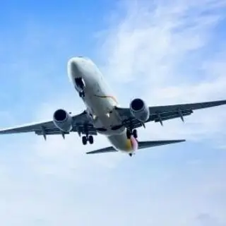 Domestic/international Flights For F1 Students
