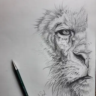 Drawings Chat Group