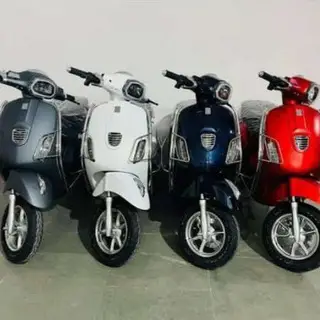 Electric Vehicles Showroom Franchise