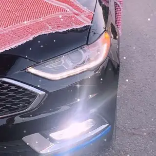 Ford_fusion_team