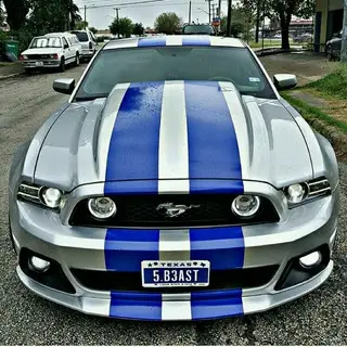 Ford Mustang(shelby)