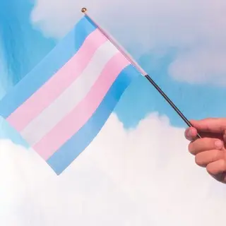 تعاسة الجندر - Gender Dysphoria