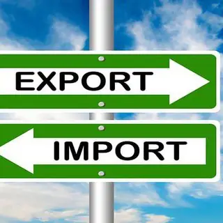 Global Export Import Group