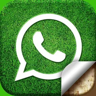 Hd Whatsapp Status