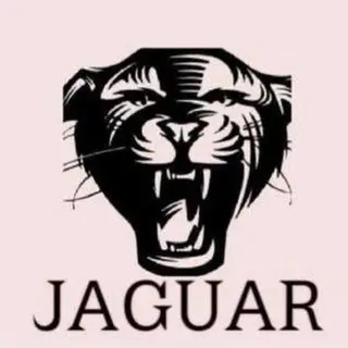 Jaguar The Brand™ Toss Predictions