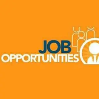 Job Opportunities &amp  Hr Updates