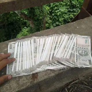 Let Us Earn Together