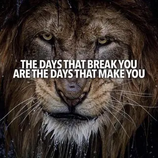 Motivational/inspirational Quotes - Daily
