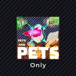 Pets And Pets Only🐈🦙🐑🐐🐏🐤🐥🐣🐓🐔🦢🐟🐬🐋🐳🐚🐠