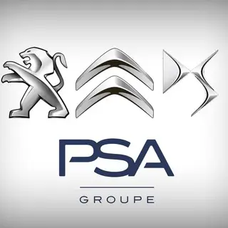 Peugeot Citroën Ds Parts (Доставка по РФ)