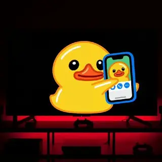 Stream Any Video - Live Streaming