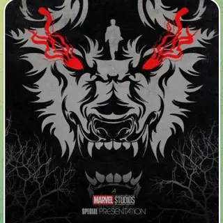 Superhero Movies And Web Series