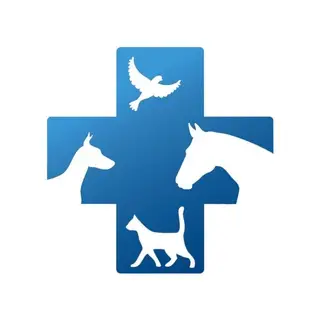 Veterinary Medicine Review Hindi