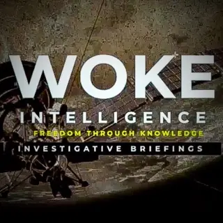 W_intelligence (osint/cointel &amp  Disclosure)