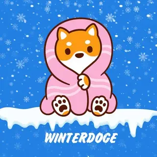 Winter Doge Official - Launched!