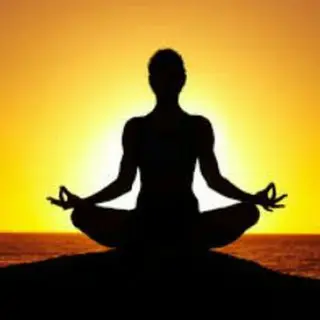 Yogasanas: Yoga And Meditation: Learn Yoga Learn Meditation
