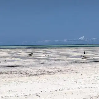 Zanzibar Chat