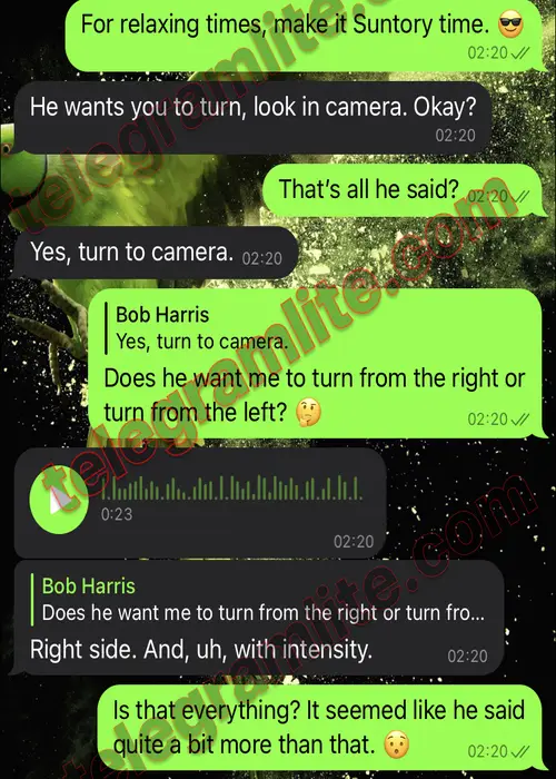 Sticker A Green Parrot