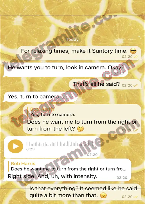 Sticker Lemon Pro Theme