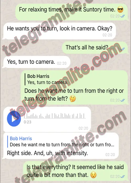 Theme WhatsApp